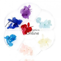 Decoratiuni 3D pentru unghii cu flori naturale uscate Cod 13092